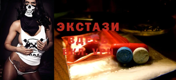 мет Алексин