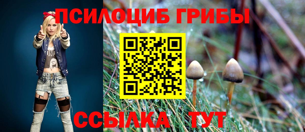 Галлюциногенные грибы Psilocybe Тайшет
