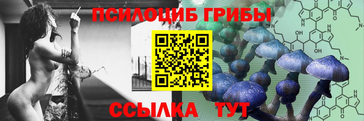 Тайшет  Псилоцибиновые грибы MAGIC MUSHROOMS  Вход с VPN 